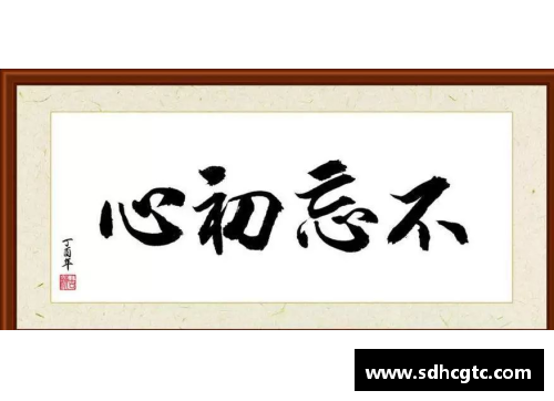 体育明星自传：砥砺前行，勇攀高峰