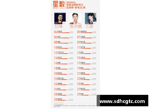 国内外体育明星比较：从成就到影响力的全面分析