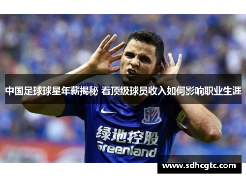 中国足球球星年薪揭秘 看顶级球员收入如何影响职业生涯