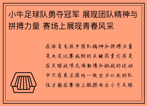 小牛足球队勇夺冠军 展现团队精神与拼搏力量 赛场上展现青春风采