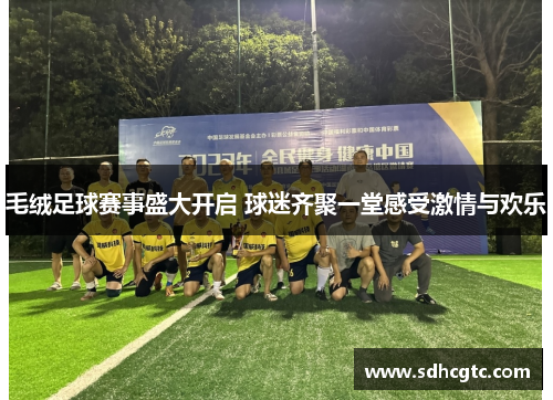 毛绒足球赛事盛大开启 球迷齐聚一堂感受激情与欢乐