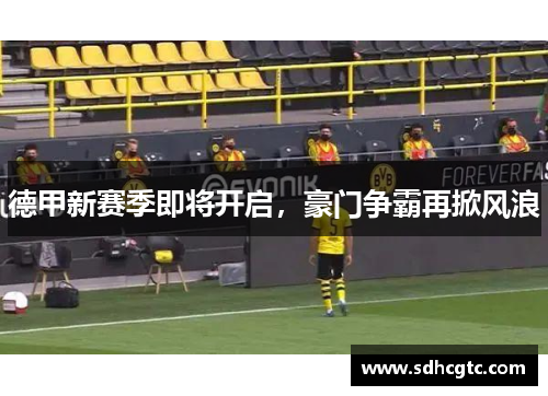 德甲新赛季即将开启，豪门争霸再掀风浪